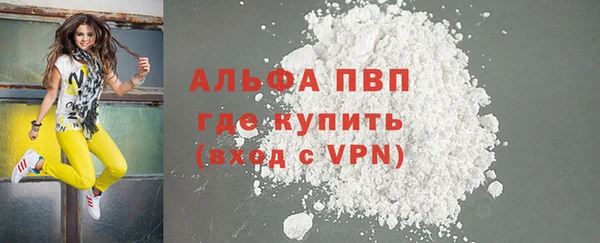 дживик Переславль-Залесский