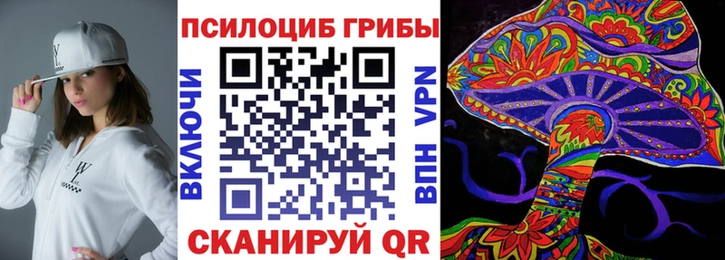 наркошоп  Кукмор  Галлюциногенные грибы прущие грибы 